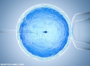 赵主任